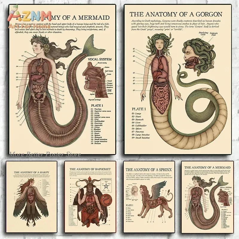 AZNM Vintage Mythical Creature Anatomy Mermaid Medusa Sphinx Frameless Canvas Poster Gothic Wall Art Decor
