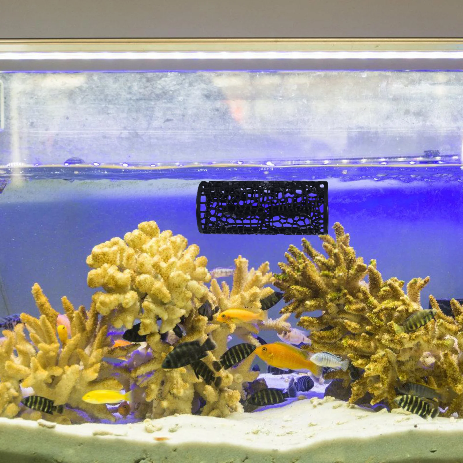 

Small Hollow Tunnel Hideout Aquarium Cave Betta Fish Tank Decoration Safe Fish Hideout Tunnel Aquarium Ornament