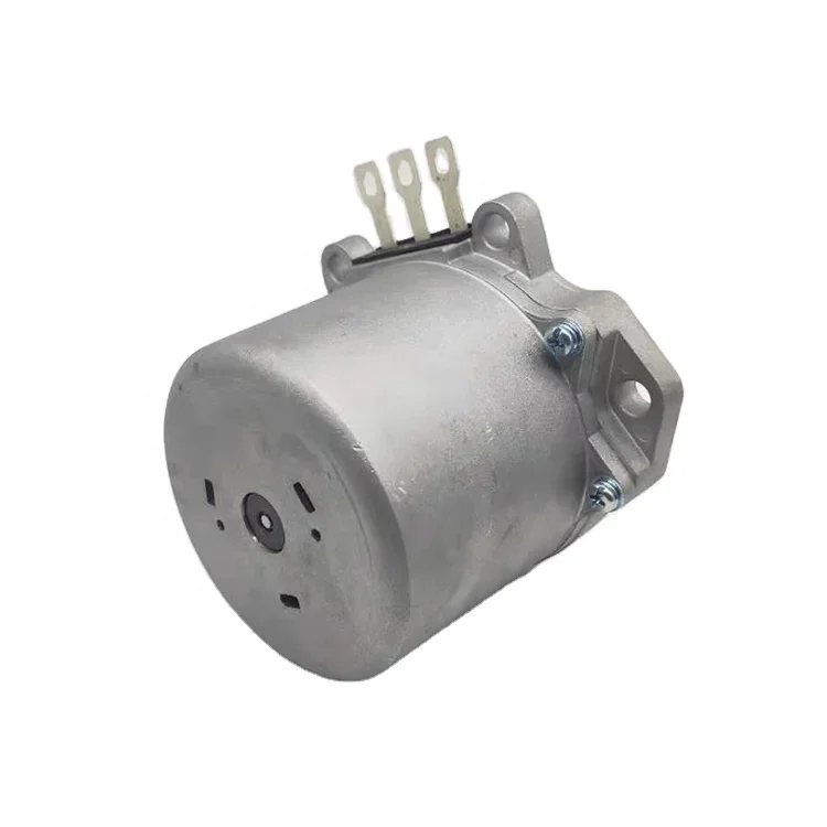 Yueqing Goedkope Eps Borstelloze Dc Motor/Bldc Motor Voor Auto