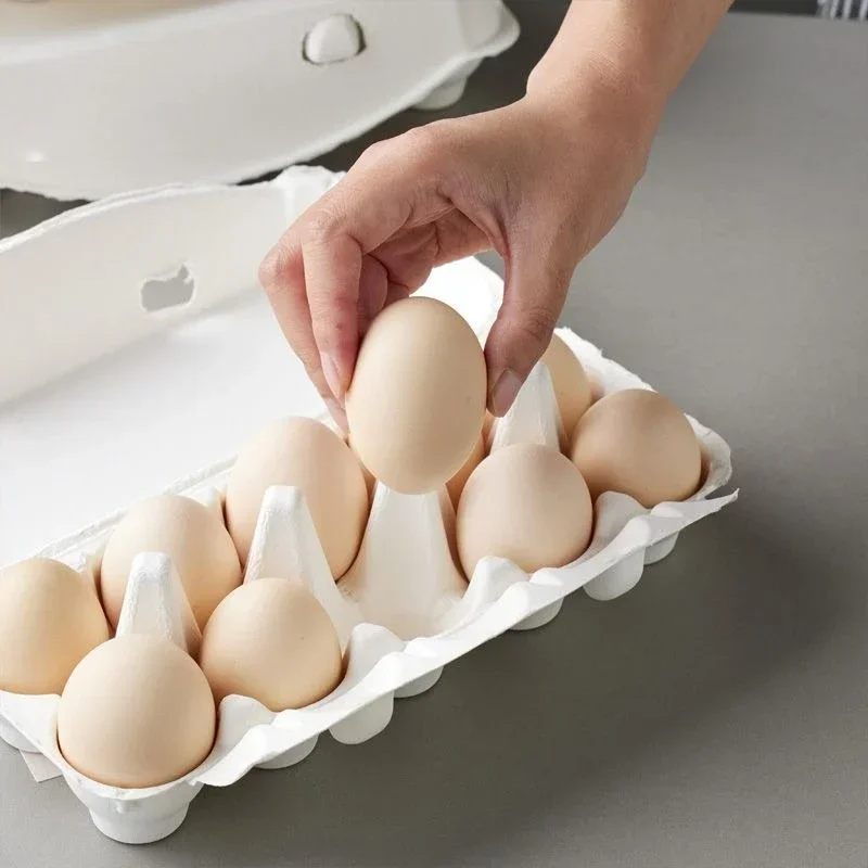 4-hole 6-hole 10 Holes 15 Holes Shock-absorbing Grille Egg Storage Bracket Box Environmentally Friendly Biodegradable Egg Tray