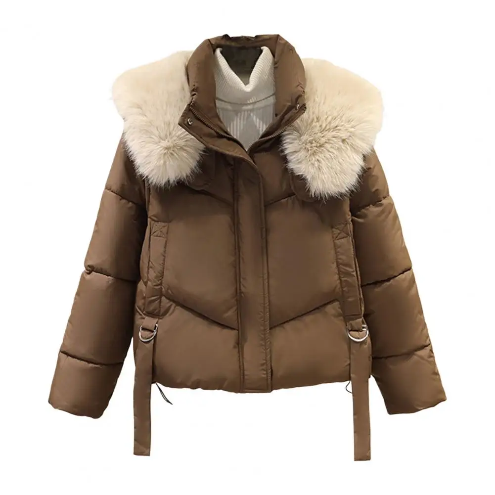 Winter Down Coat Padded Furry Hooded Stand Collar Pockets Zip-up Parka Windproof Cold Weather Outwear Cotton Jacket