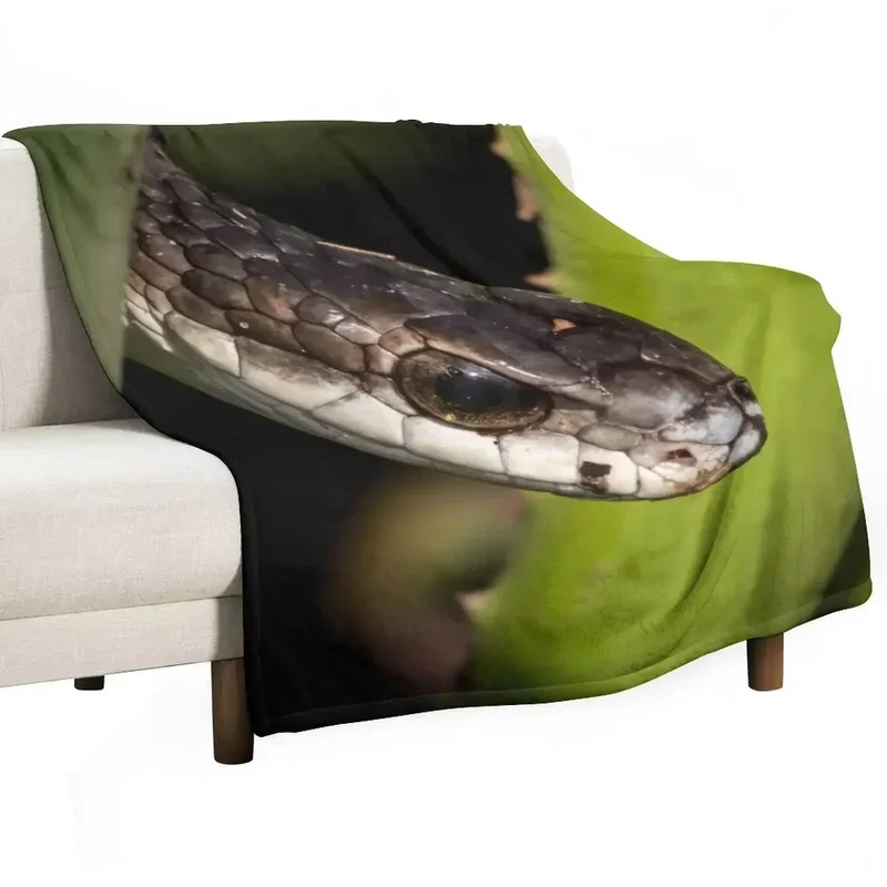 Tree Snake (Dispholidus typus) Throw Blanket Bed Comfortable Flannels Sofa Blankets