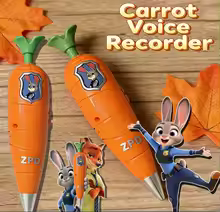 Stylo Enregistreur Carotte