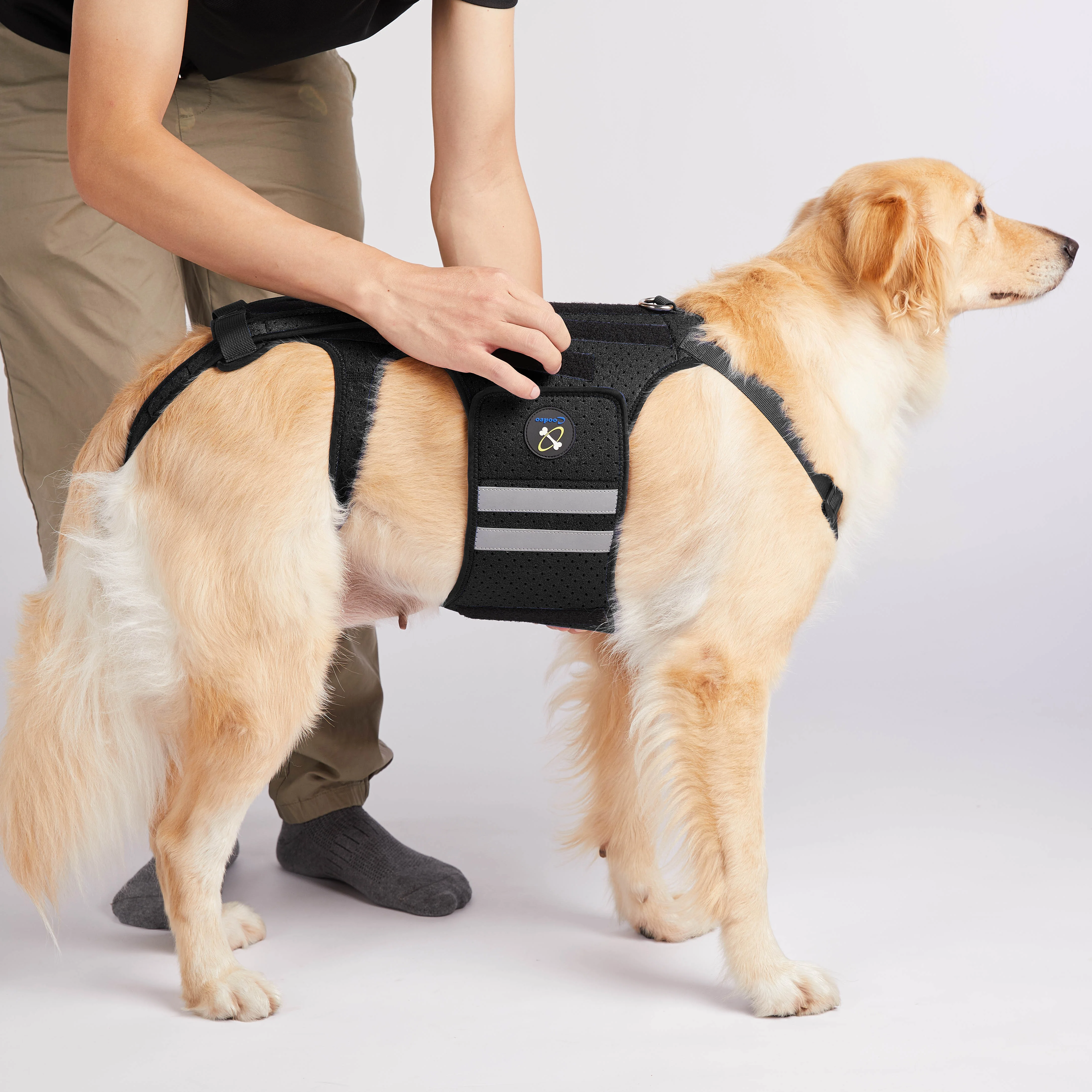 

Ортопедический корсет Coodeo для собак при артрите, бандаж для спины для животных при IVDD, защита спины для облегчения боли, восстановления после операций и реабилитации