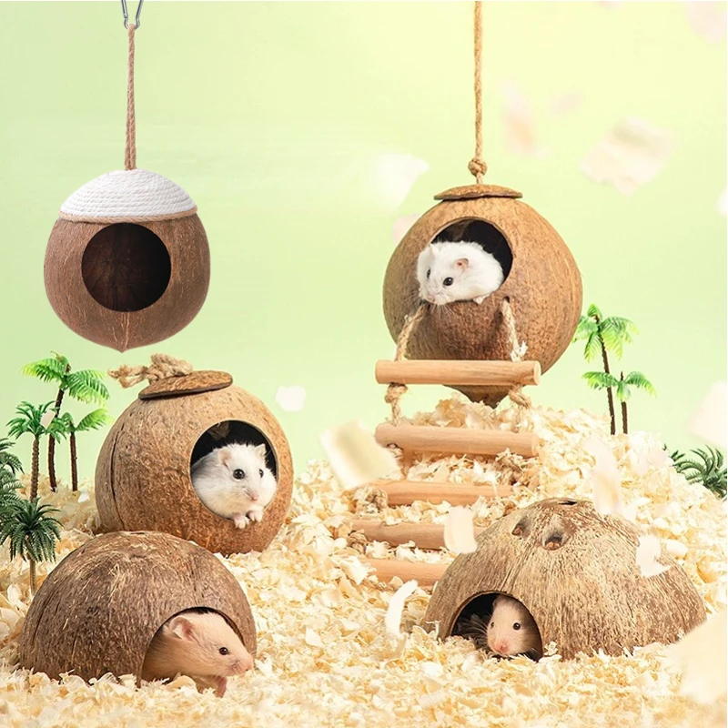 #19 Latest Hamster Houses Offers