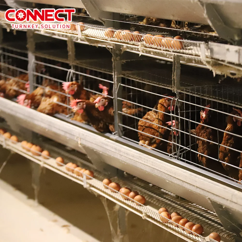 Large Poultry Battery Shed Machine Farm H Type 3/4/5/6/8 Tiers Broiler Layer Chicken Cage Equipment Line With Egg Laying System