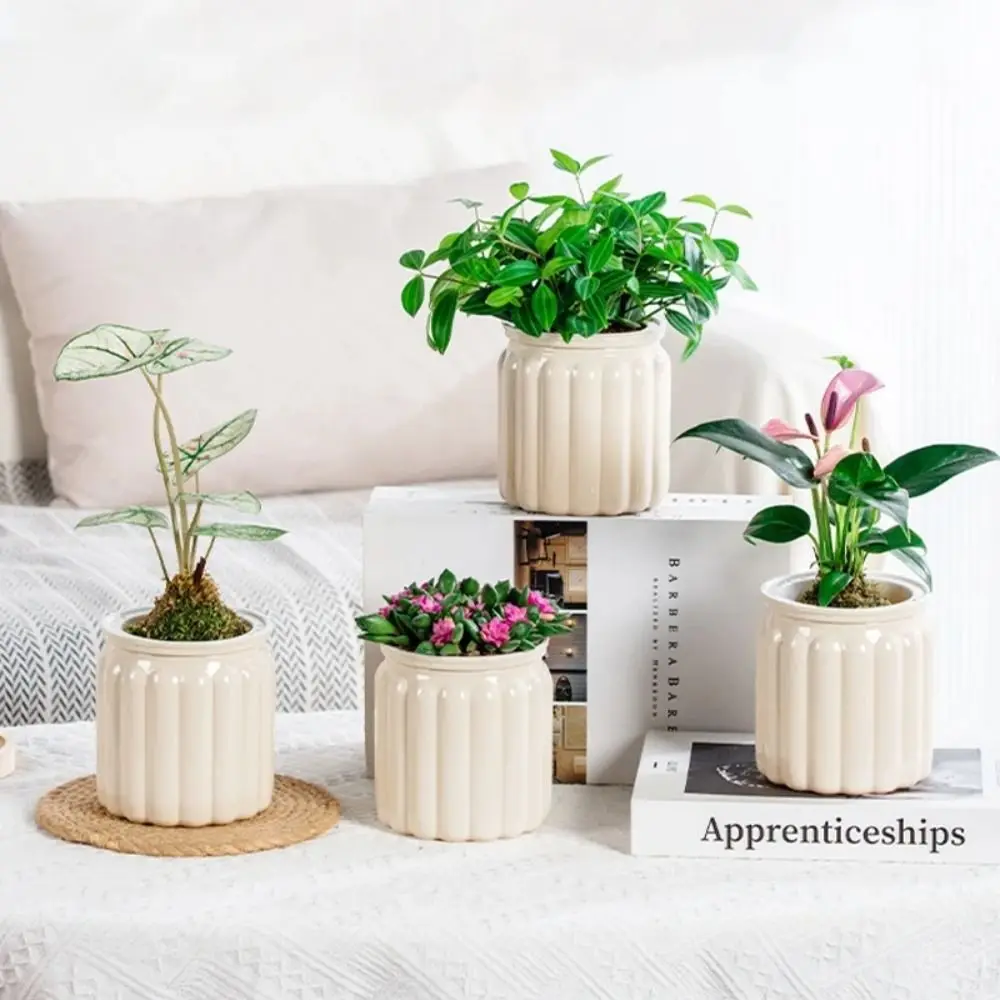 

Creative Self Watering Hydroponic Plants Pot Plastic Removable Mini Succulent Planter Tabletop Vase Office Bonsai Decor