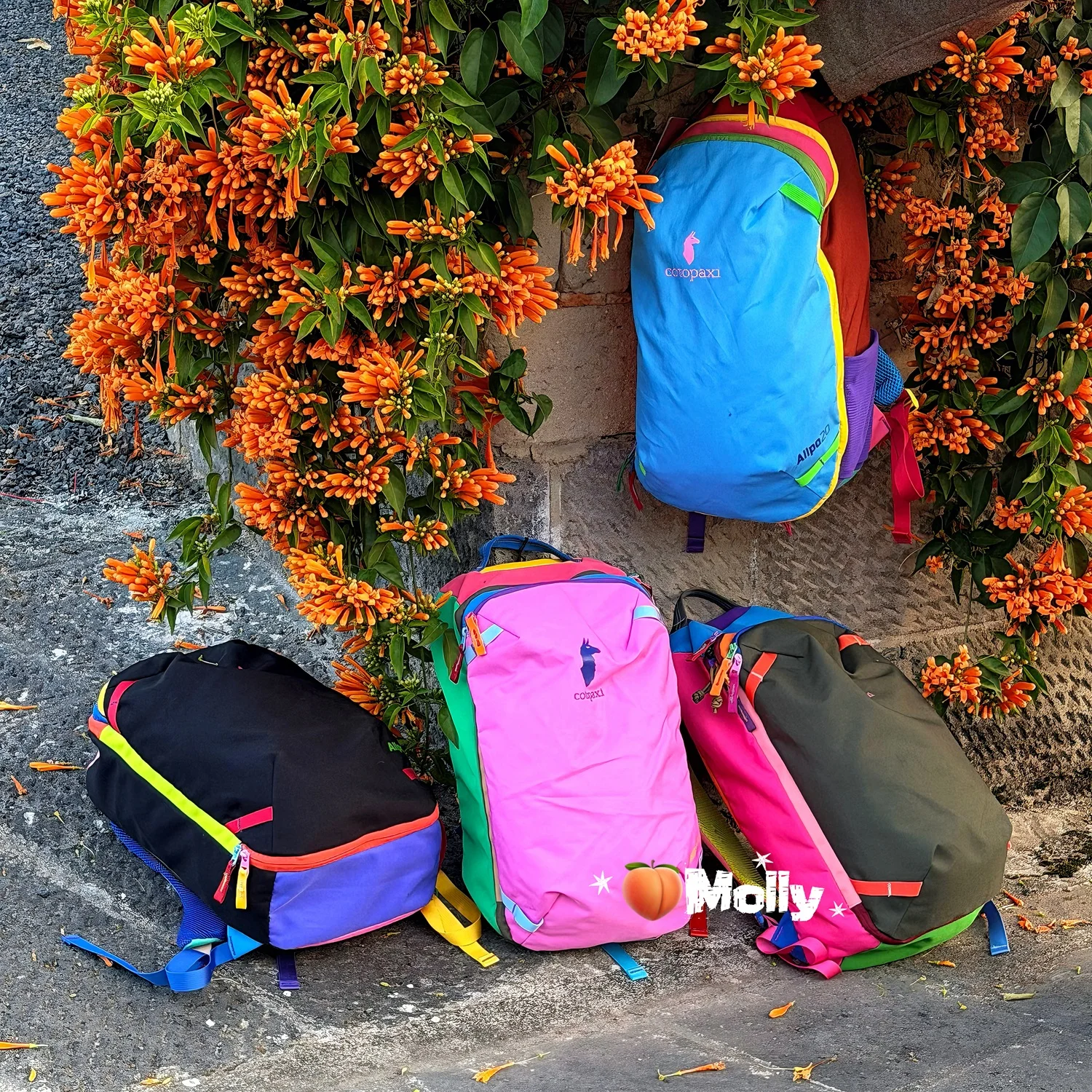 

Dopaglow 20L Large Capaci Outdoor Sports Bapa American Alpaca Bag Mountain Climbing Bag with Two Carents for Men A...
