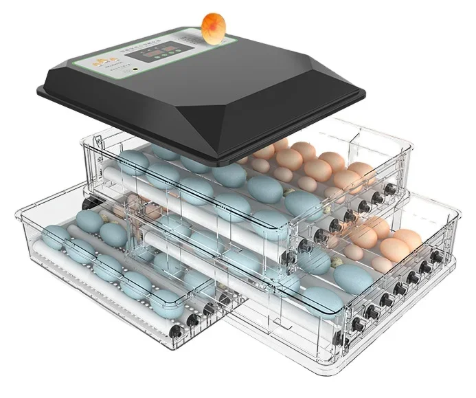 High Quality Hatching Eggs Chicken Duck Pigeon Quail Automatic Egg Hatchery Machine Egg Incubator For Sale