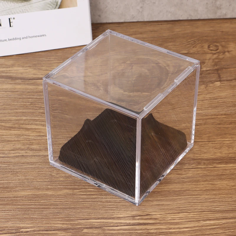 Baseball Box Display Golf Tennis Ball Transparent Case For Souvenir Storage Box Holder Uv Protection Dust