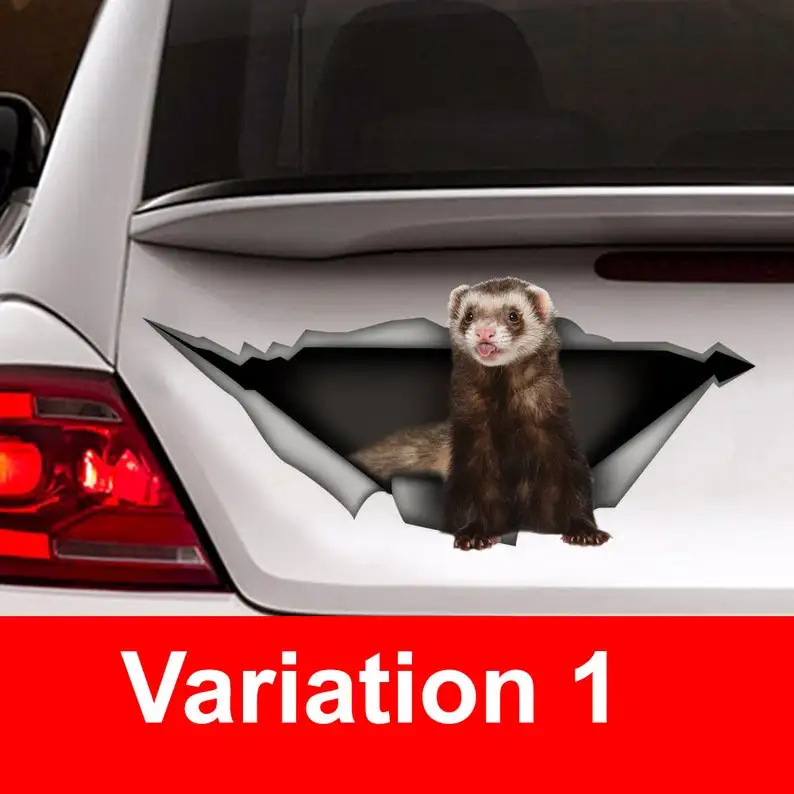 Ferret car Decal, Pet decal , Vinyl Decal, Car Decal, funny decal,sticker, Laptop Decal