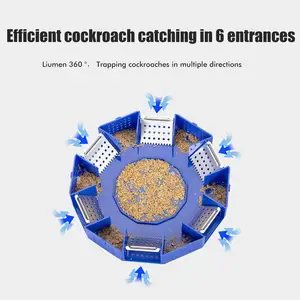 Sechs doore effiziente Kakerlaken -Killer, Kakerlake -Fallen, sicheres Update, Anti -Kakerlaken, groß 12 Verkauf von Chorizo -Bäckereien - №9