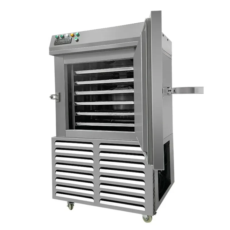 BBQ Eating BBQ Freezing Freezing Fresh Freezing Cabinet Fresh Low Temperature