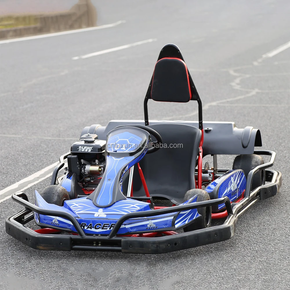 Custom Color Go Kart Chain Drive Adult Outdoor Drift Car 2 Seat 4 Stroke air Cooler 270cc Gas Go Karts