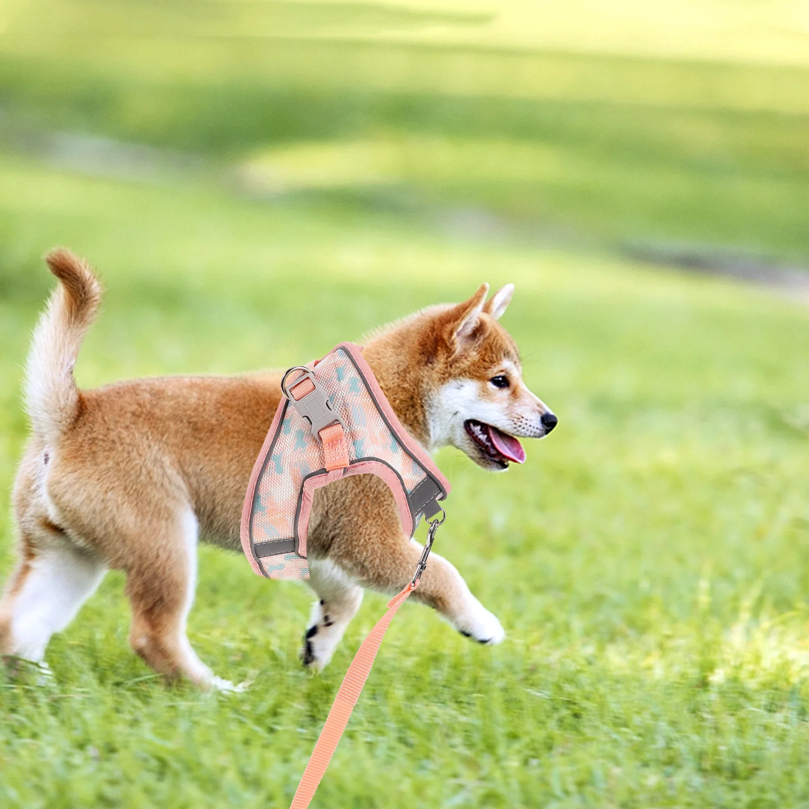 

1Set Dog Harness and Leash Lightweight Compact Size Simple Structure Exquisite Style Suitable Most Outdoor Activities