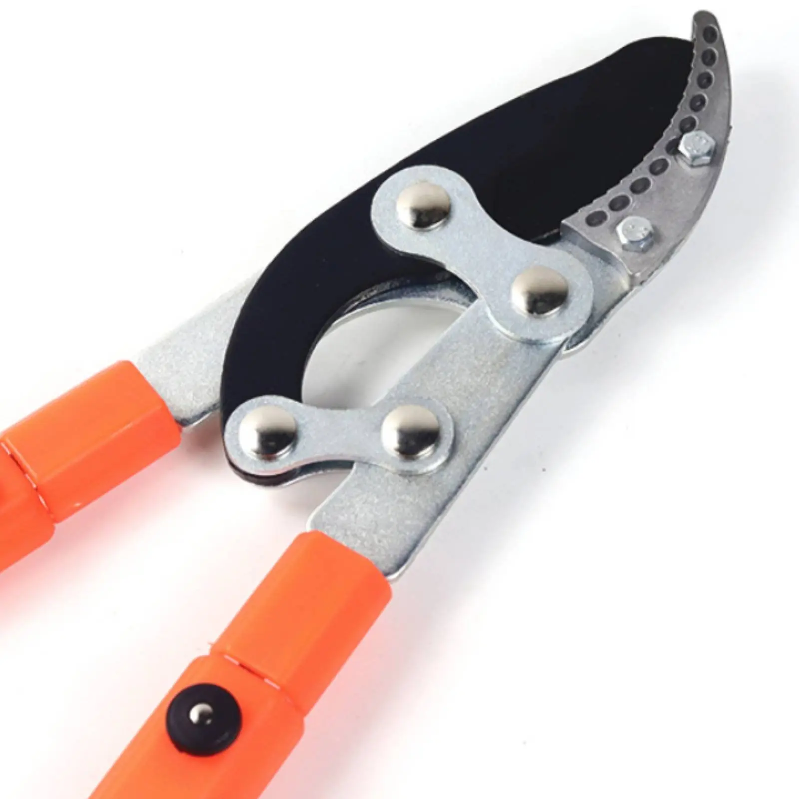 Category image: Long Handle Scissors