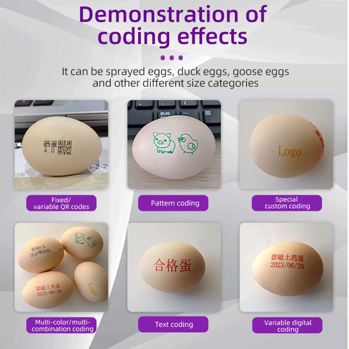 Factory Price Industrial Automatic Six-head Egg Inkjet Printer Machine To Mark Eggs Egg Date Printer Logo Code Stamping Machine