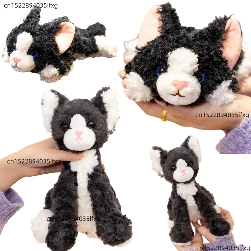 Healing Series Schwarz-weiße deutsche Katze Plüschpuppe 25 cm langes Bein Haustier Deutsches Rex Plüschtier Kindergeburtstagsgeschenk Weihnachtsgeschenk