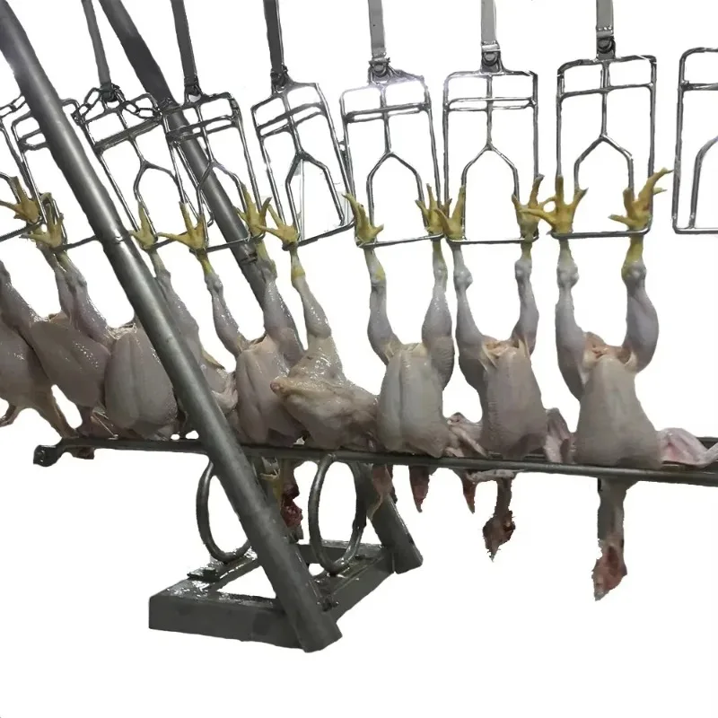 Automatic Poultry Slaughtering Equipment for Chicken Turkey Duck & Goose for Small & Large Production for Poultry Processing