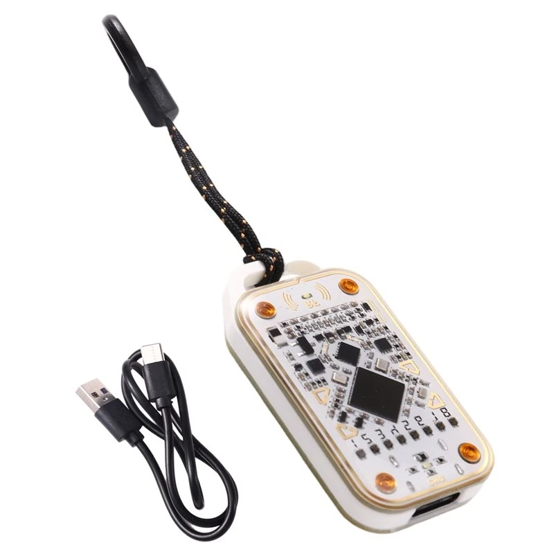 ab25-nouveau-4eme-Emulateur-de-carte-intelligente-sans-contact-chameleon-ultra-v40-copieur-de-cartes-rfid-lecteur-de-puces-intelligentes-de-cartes-d'identite-et-de-puce-ic
