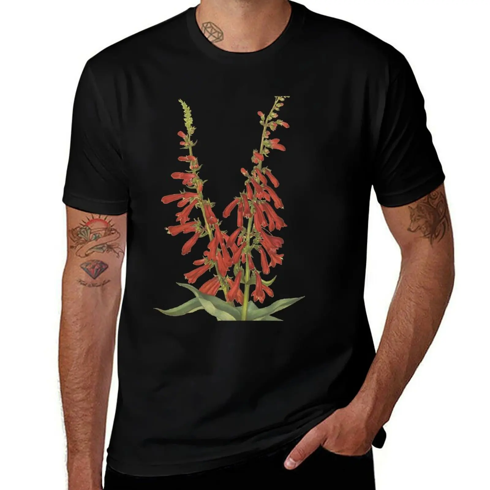 Vintage Botanical Flower Art - Firecracker Penstemon - Beardtongue - Penstemon eatonii T-Shirt