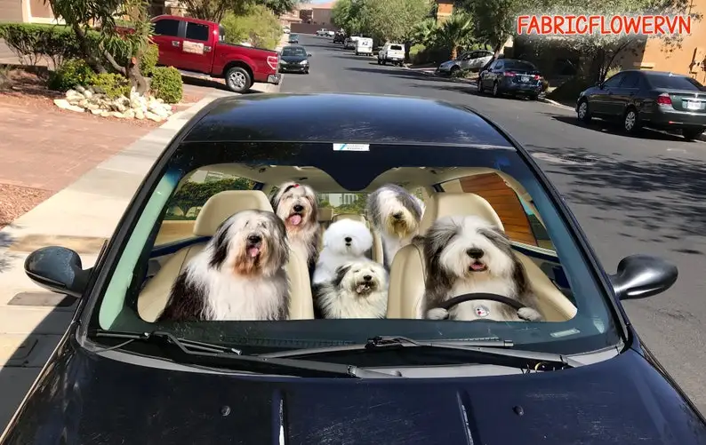 Bobtail Car Sunshade, Bobtail Car Decoration, Bobtail Windshield, Dog Lovers, Dog Car Sunshade, Gift For Mom, Gift For Dad