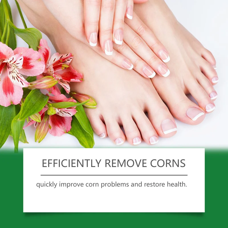 علكات الفيتامينات والكبسولات تغذي ترطيب حماية الدورة الدموية تحسين شكل الجسم وتعزيز استخلاص السموم