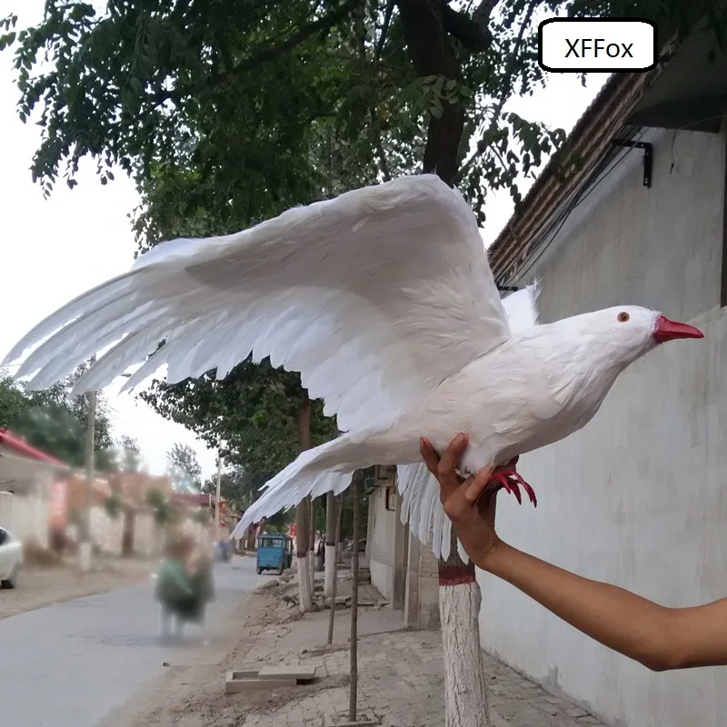 new real life wings pigeon model foam&feather white dove bird about 40x70cm d0127