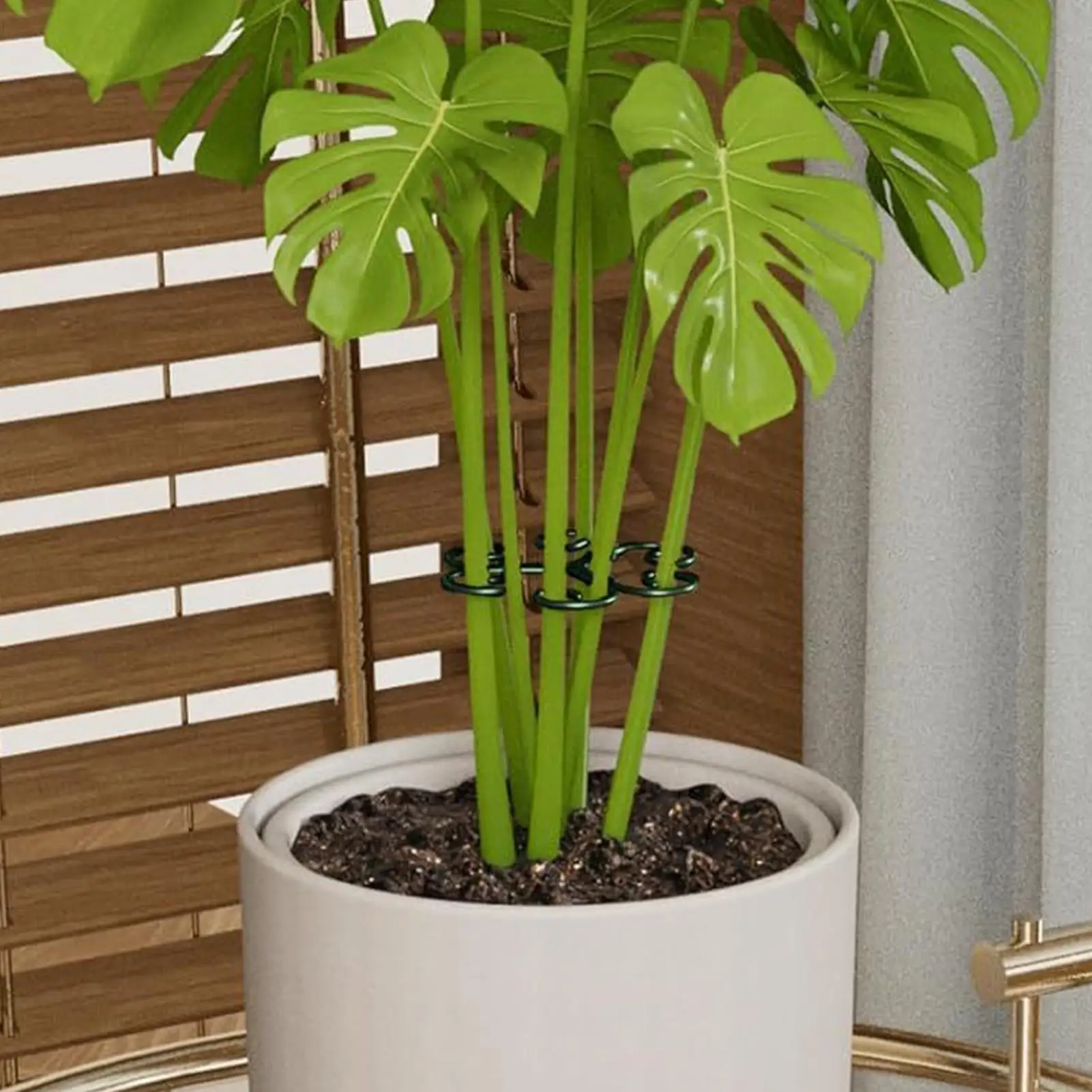 

Supports For Indoor Plants 4 Pieces Adjustable Portable Green Holder Plant Stem Support For Garden House Home Inside Patio