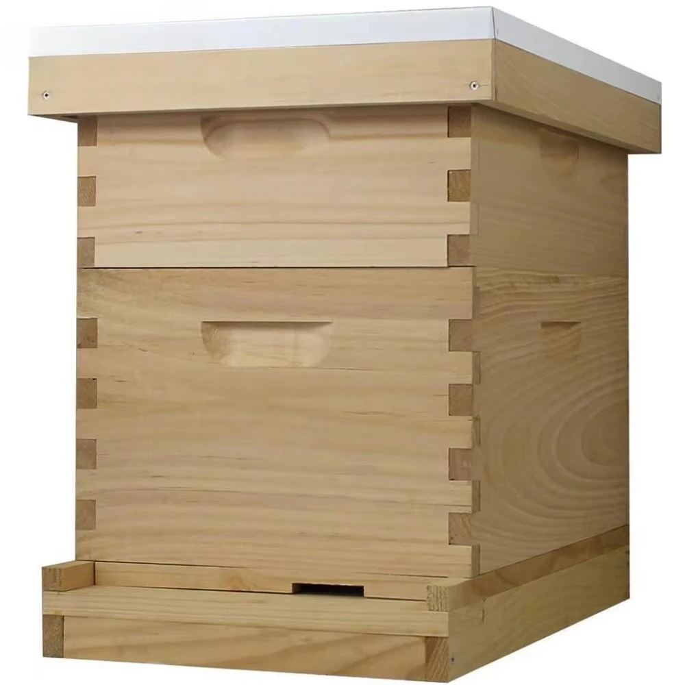 Beekeeping Equipment 10 Frame Beehives for Sale Langstroth Beehive Box