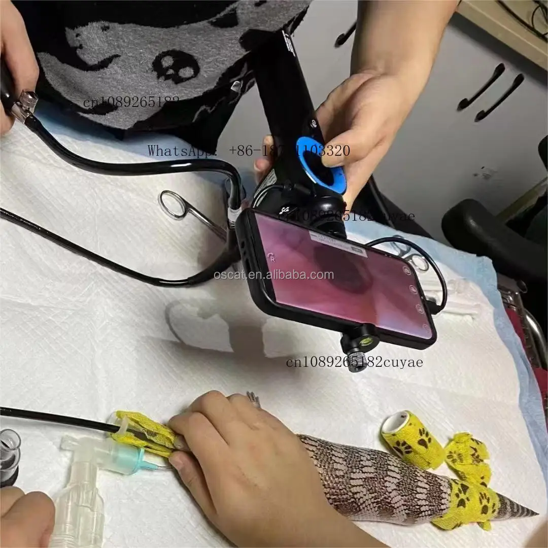 OSCAT Veterinary Clinic Portable Endoscope 5.8mm 360deg Bending 1MP for Animal Respiratory Endoscopy and Biopsy