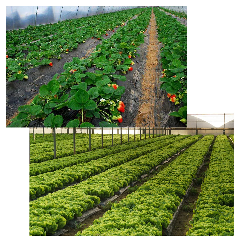 11/15/20/30cm Garten Landschafts bau Pfähle Rasens tifte Heringe Garten Grenze Kunststoff Kanten Verankerung Spikes für Outdoor Unkraut Barriere