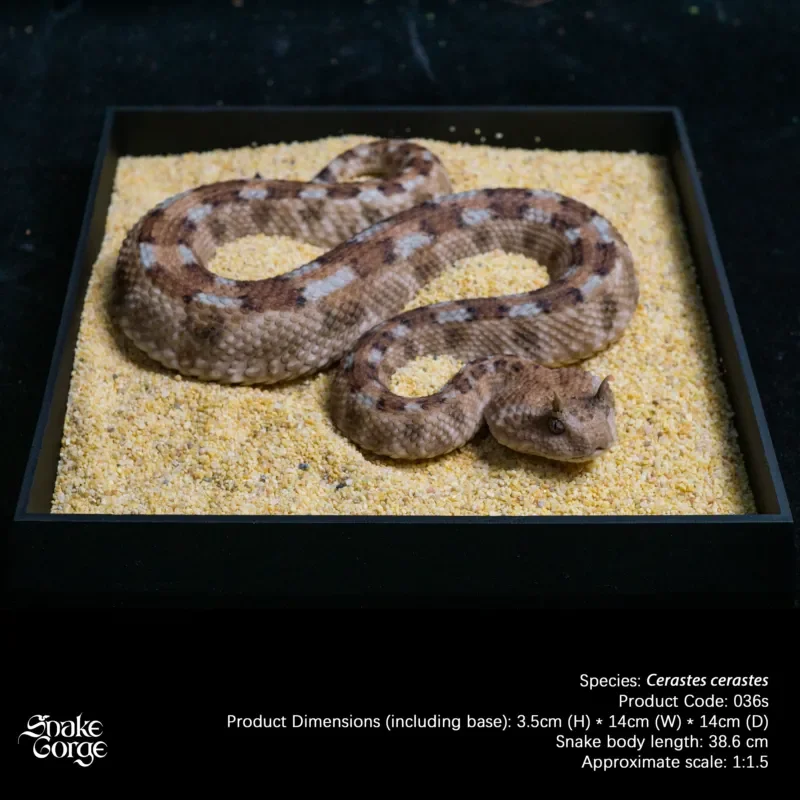 Horned Viper Model Micro Landscape Indoor Tabletop Miniature Animal Figure Realistic Snake Statue Home Office Desk  Resin Model