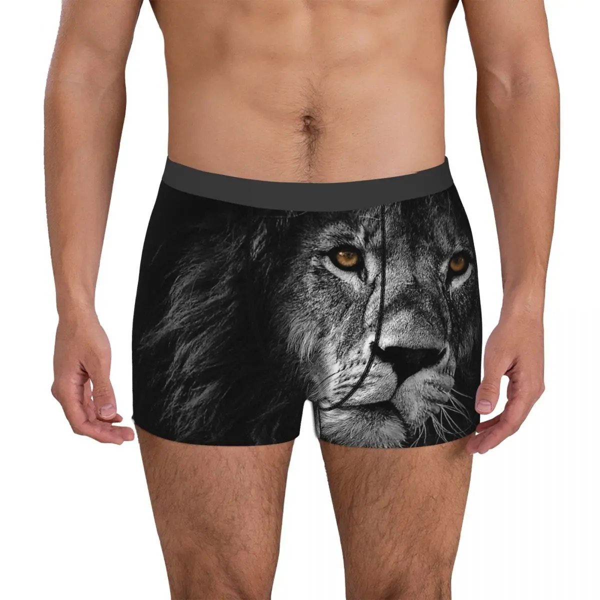 Lion Face Maks Animal Underpants Homme Panties Man Underwear Ventilate Shorts Boxer Briefs