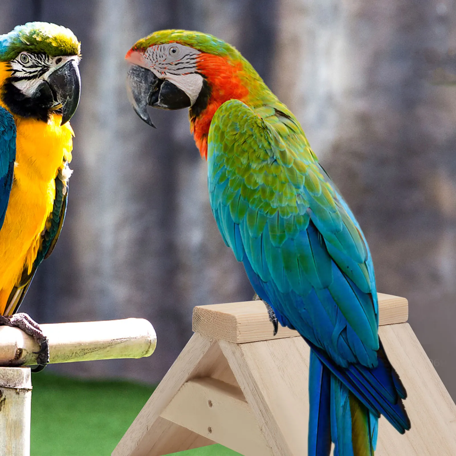 

2pcs Wooden Bird Perch Stand Natural Wood Pigeon Rest Lightweight Dove Parrot Pet Supplies Safe Comfortable Various Birds