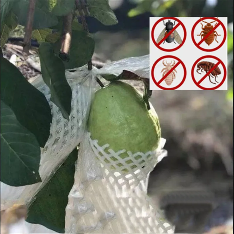 50/100 sets Guava Protection Cover Growing Bag Anti-Bird Insect Net Bag Pest Exclusion Fruit Protection Insect Bags