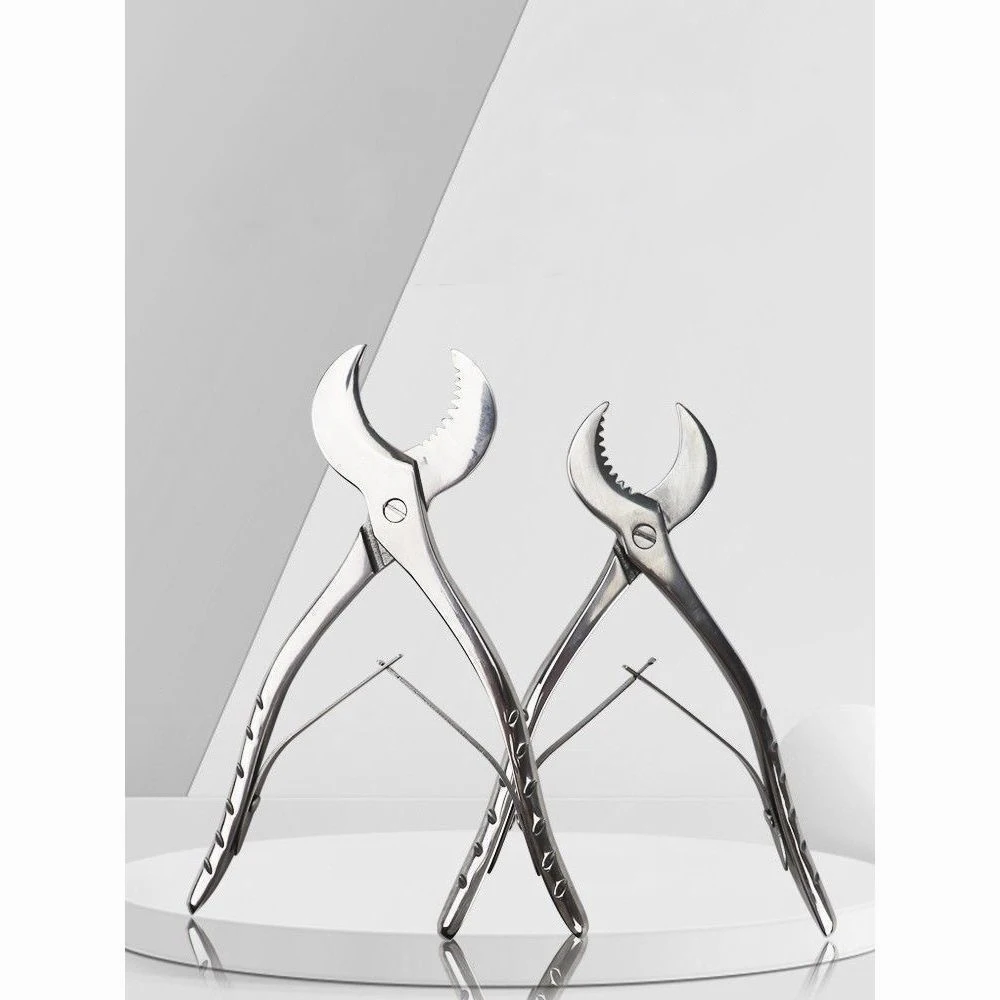 

Dental Plaster Scissors Gypsum Cutter Stainless Steel Lab Equipment for Model Trimming Material Cutting Dentistry Tools