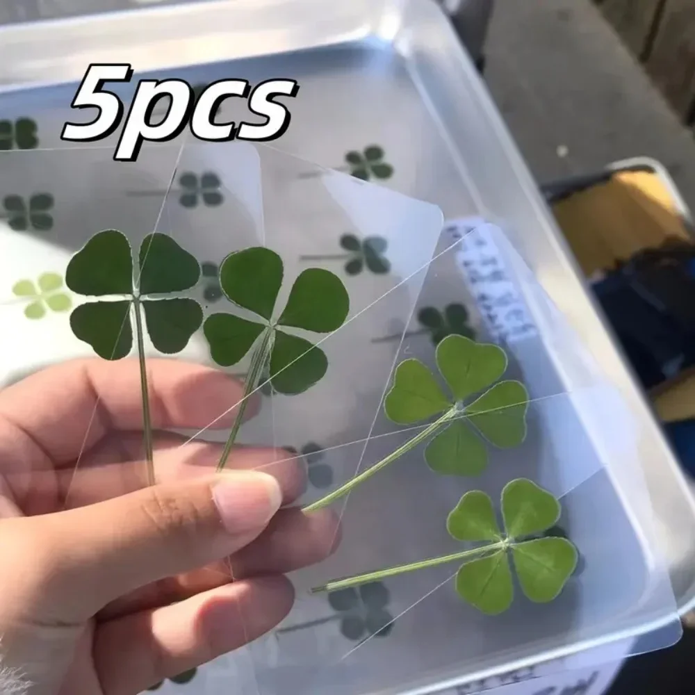 5Pcs Lucky Clover Postcards Grass Transparent Wishing Cards Ideal for Bookmarks & Decorations Perfect Holiday Gifts