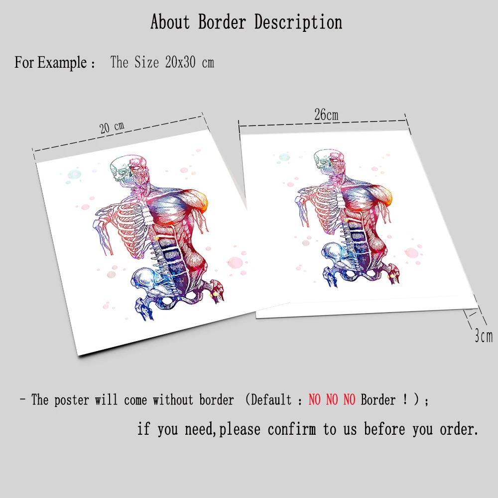 Human Anatomy Poster Skeleton Bones Decorative Paintings Canvas Wall Art Medical Office Clinic Photos Physiotherapy Room Decor