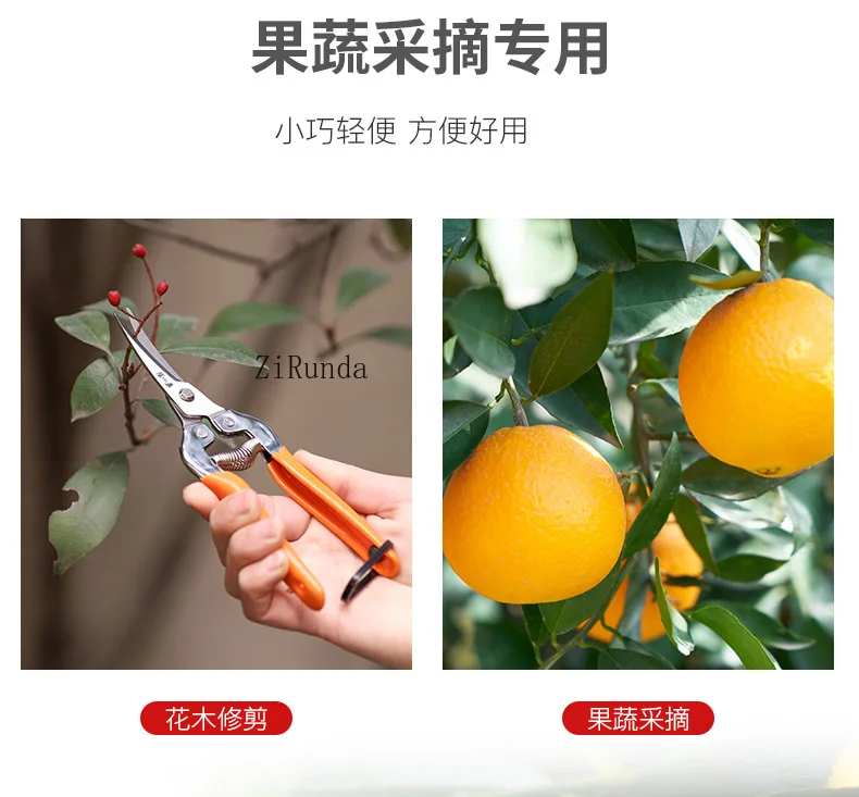 ~Fruit thinning scissors picking grapes fruit warping head gardening scissors bonsai pruning pruning tools