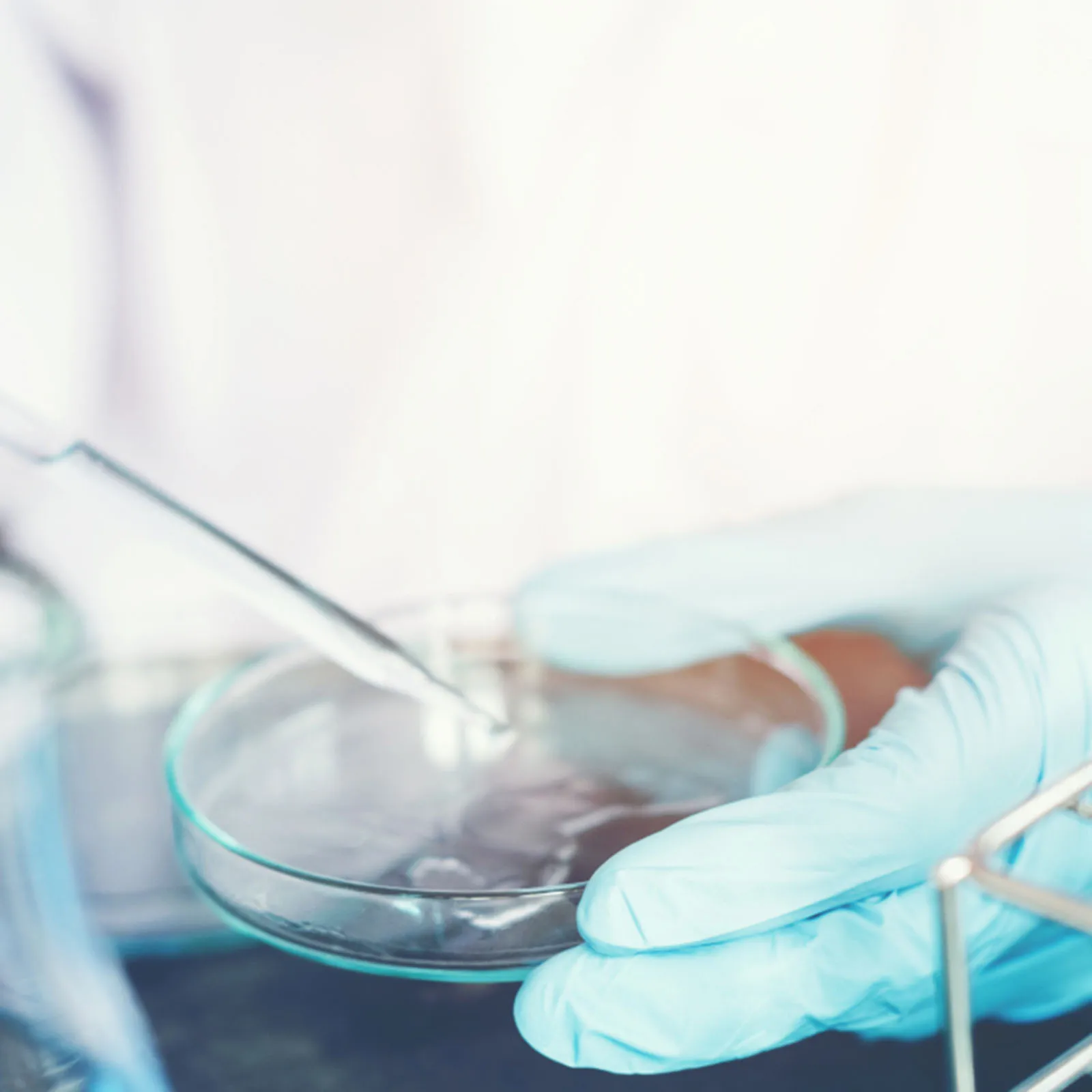 

20Pcs Plastic Petri Dishes 70mm Sterile Lightweight Ergonomic Design Bacterial Culture Dish with Lid Laboratory Petri Dish