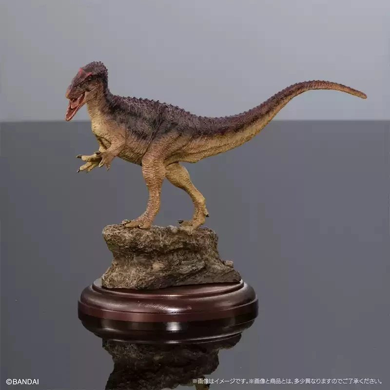 بانداي لعبة أصلية ايكيمونو تايسيو أدفانس ديناصور ألوصور ستيجوسورس سيتابات غاشا أنيمي عمل نموذج أرقام جمع #4