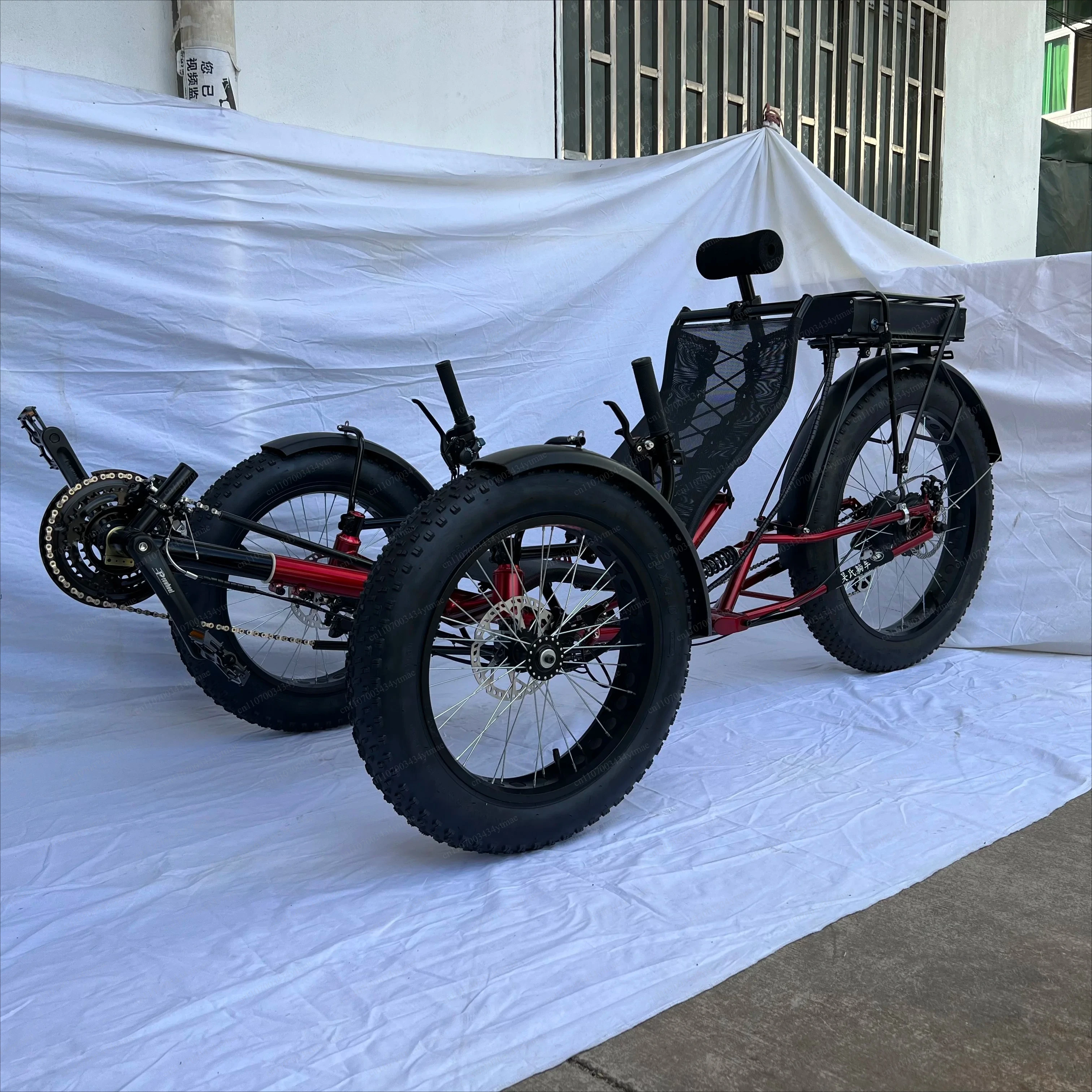 Three Wheel Recumbent Electric Bicycle Shock Absorbing Frame Fat/Slim Tires Snow Beach Available Version