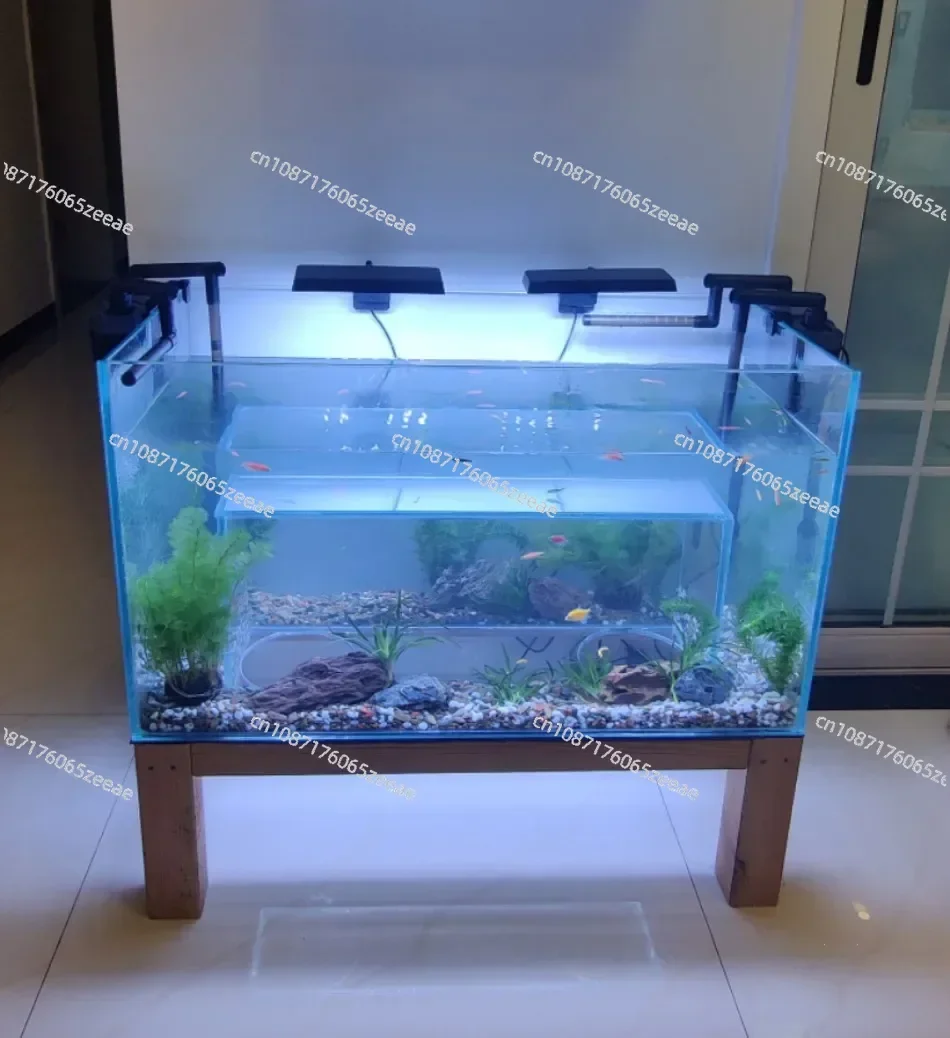 Cat Viewing Tank Super White Glass Customized Fish Tank Special-Shaped Fish Tank