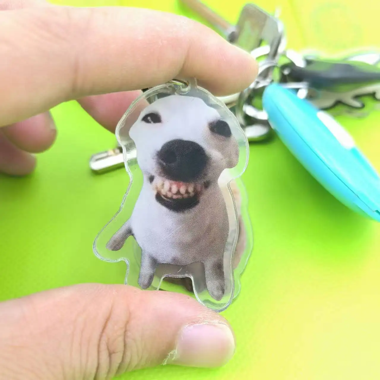 Silly Cat Key Chain, Kitten Sleeping Meme, Dog Laughing Meme, Screen Smiling Corgi Dog Meme Keychains Diy Pendant, Lovely Gift