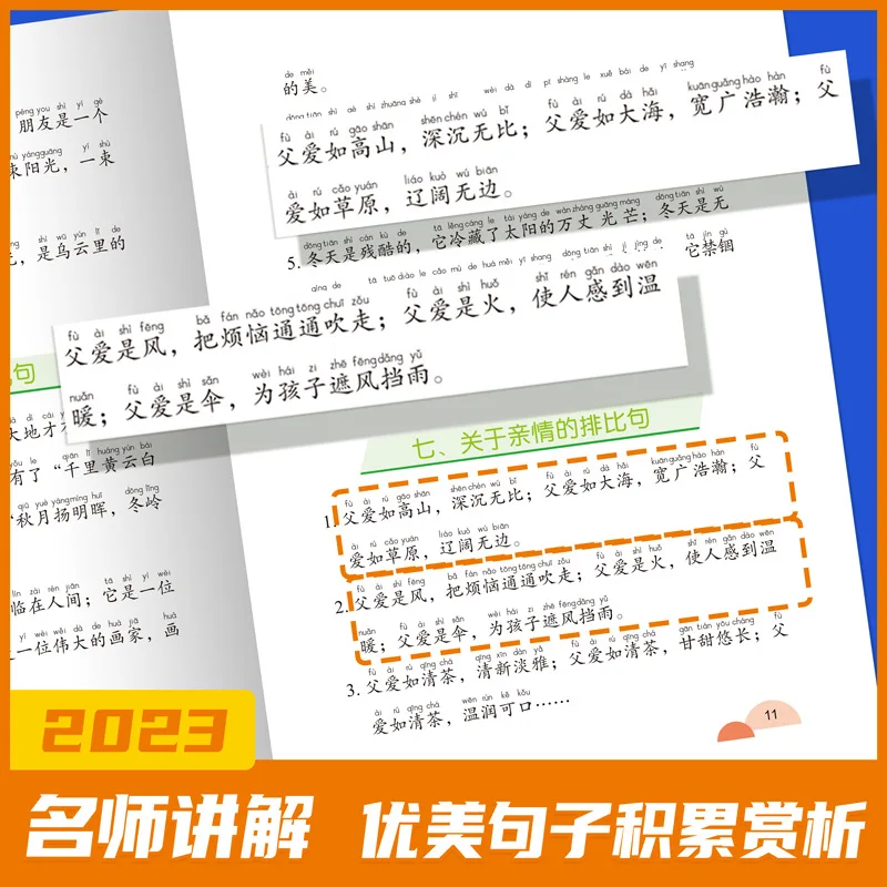 Complete Collection of Chinese Vocabulary for Primary School Students, Specialized Intensive Training Vocabulary Books