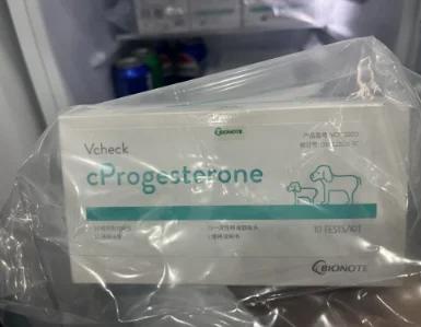

VCF122DD Vcheck cProgesterone for V200 Dog Cat Veterinary Diagnostic Test