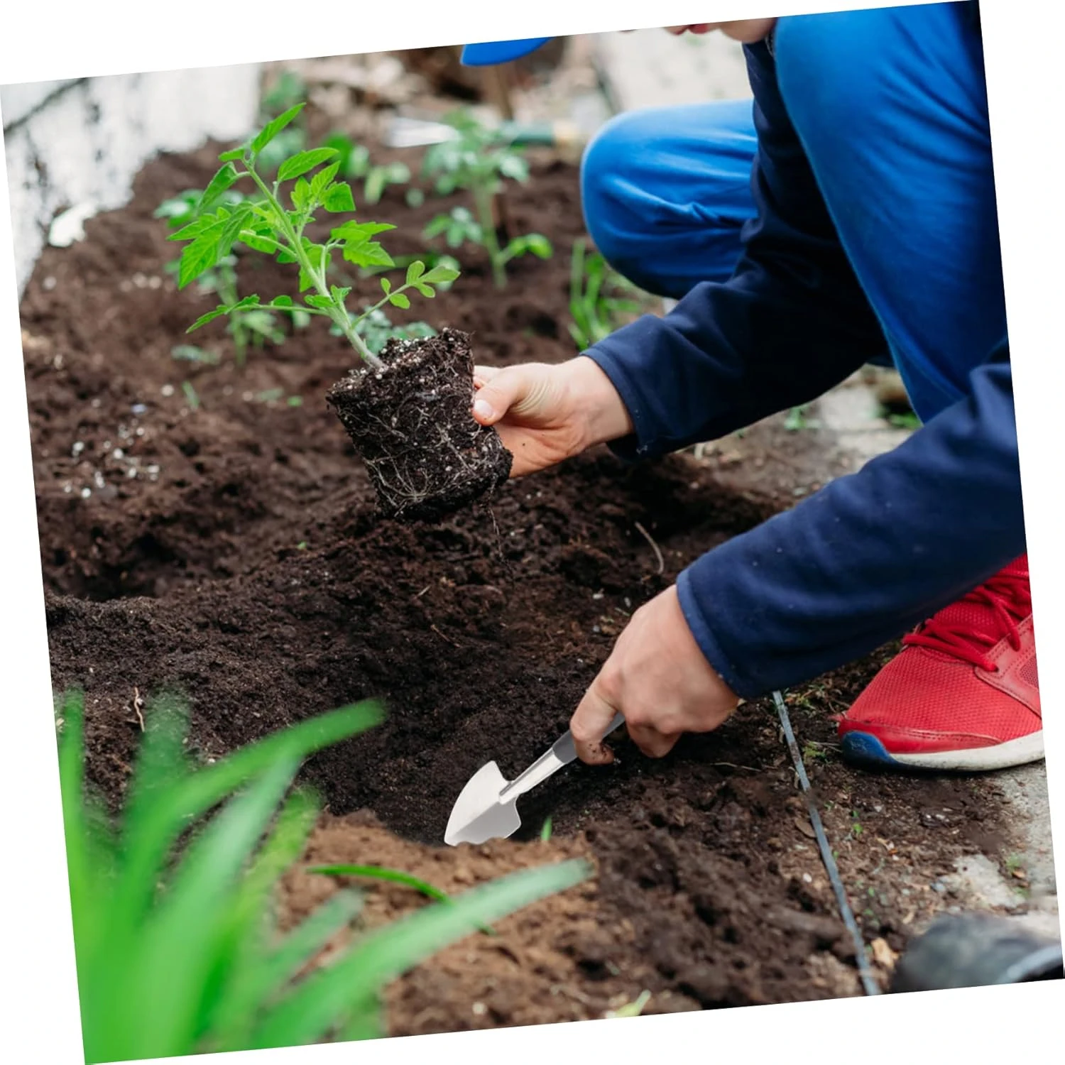 Essentiële Roestvrijstalen Mini-Tuingereedschapset-Perfecte Schep, Handtroffel En Planttroffel Van 3 Stuks-Ideale Sappige Digg