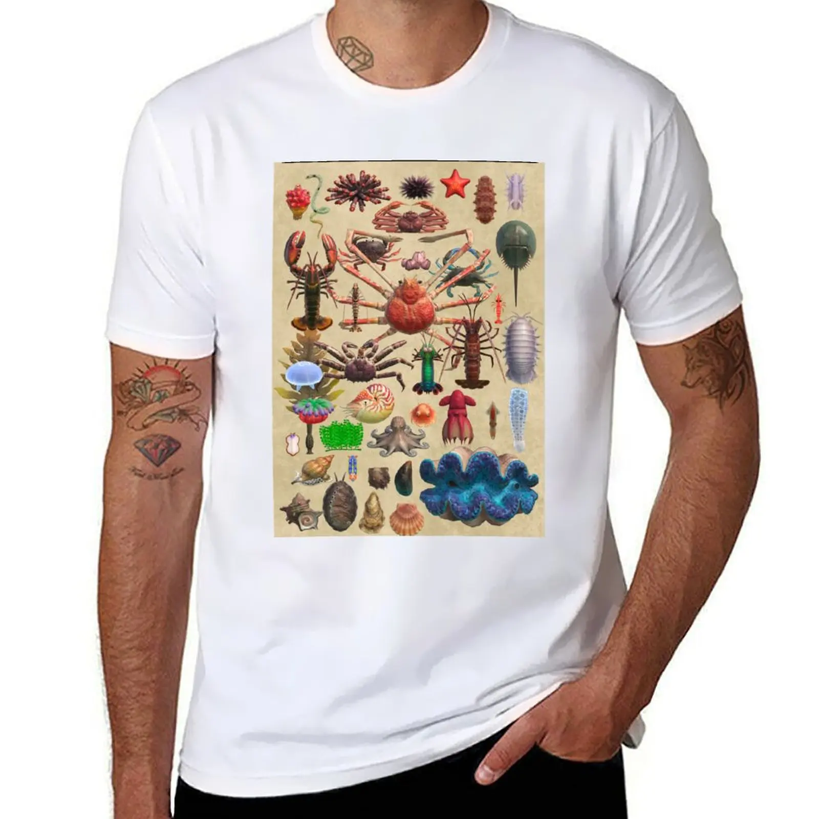 

mens Island Museum t shirts for g graphic T-Shirt men man Exhibit shirts Sea t Creature