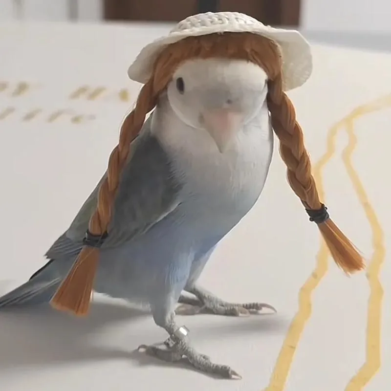 budgerigar cockatiel peonía loro diadema tejida a mano sombrero de pájaro mascota pequeño hairgear tocado ajustable pájaros juguetes accesorios Budgerigar Cockatiel peonía loro diadema tejida a mano sombrero de pájaro mascota pequeño Hairgear tocado ajustable pájaros juguetes Accesorios 2
